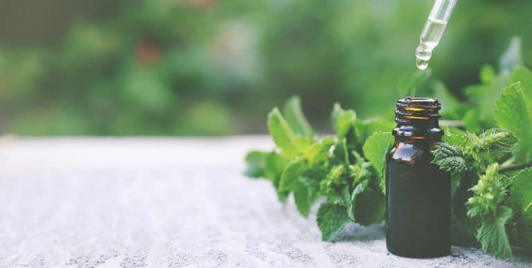 peppermint essential oil small bottle selective focus nature